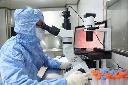 完全自主研發 未來科技城企業參與中國再生醫學領域重大創新